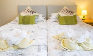 The Firs Bed and Breakfast Plymouth Bedrooms En-suite Twin Room 1st Floor