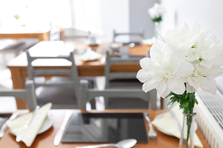 about us breakfast b&b Plymouth the firs guest house plymouth